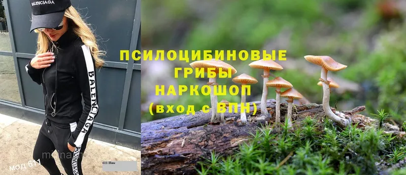 Галлюциногенные грибы Magic Shrooms  Бутурлиновка 